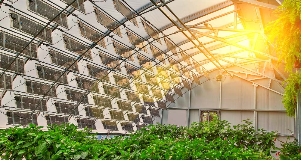 Solar Greenhouse