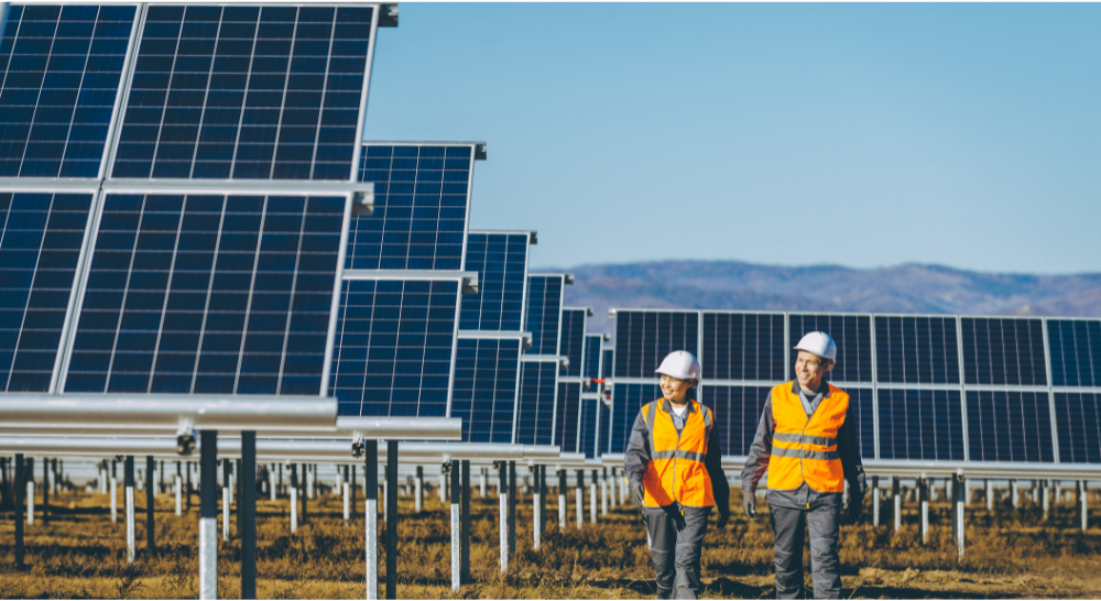 Bhadla Solar Park in Rajasthan