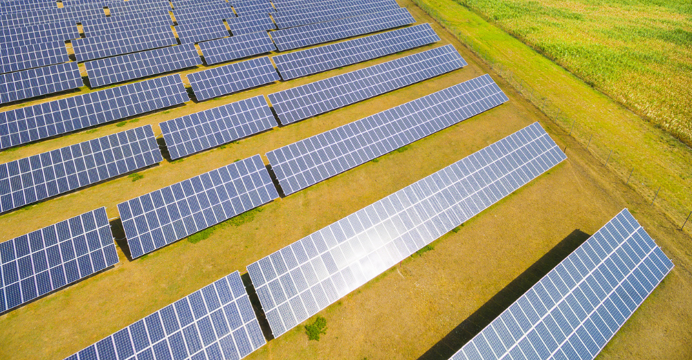 What’s a Ground-Mounted Solar System? Explore Cost, Benefits, Types, and Disadvantages