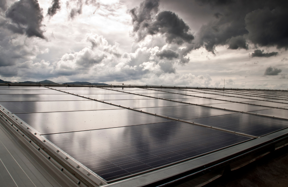 An Overview of a 400 Watt Solar Panel: Its Working, Types, Pricing, And More