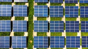 What is a 48V Solar Panel? Guide on 48-Volt Solar Panel Price, Benefits, and Wiring Process
