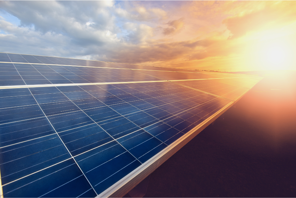 Solar Subsidy in Madhya Pradesh 2022: Solar Panel Subsidy in MP
