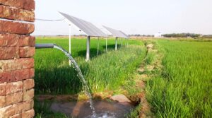 What is a Solar Pump? Working Principle, Price, and Types Explained
