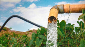 Solar Water Pumps for Agriculture: Manufacturers, Benefits, and More