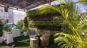 Switching to Rooftop Solar Enables the Fundamental Right to be Free from Climate Change