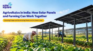 Agrivoltaics in India: How Solar Panels and Farming Can Work Together